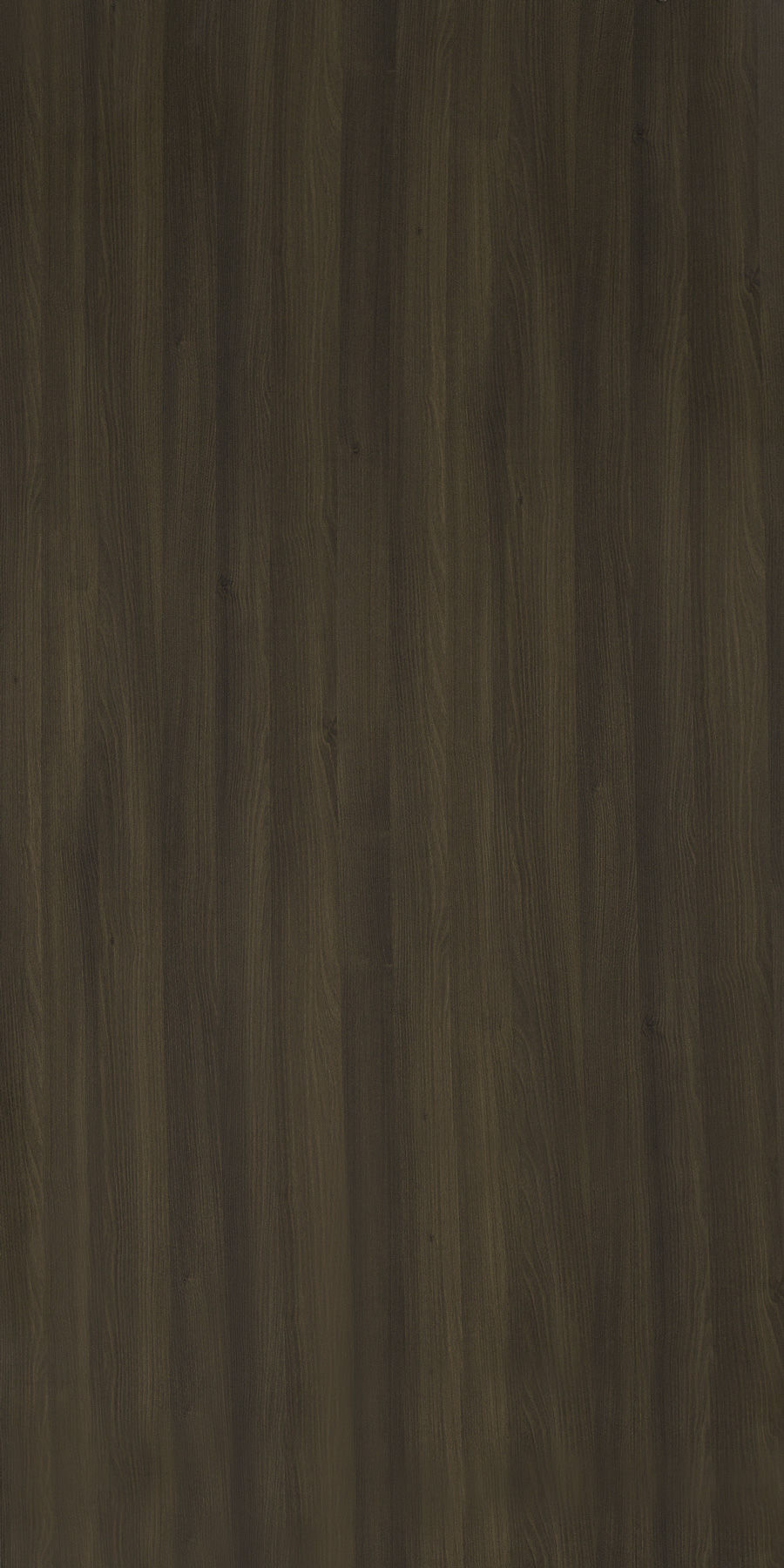 Winter Walnut
